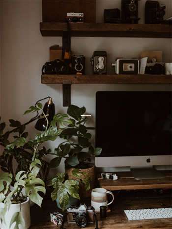 天涯社区国际:全球华人的情感港湾,你了解吗? 第1张 天涯社区国际:全球华人的情感港湾,你了解吗? 第1张